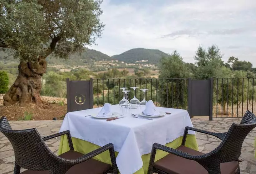 Fincahotel Treurer   Olive Grove & Grand House   Adults Only