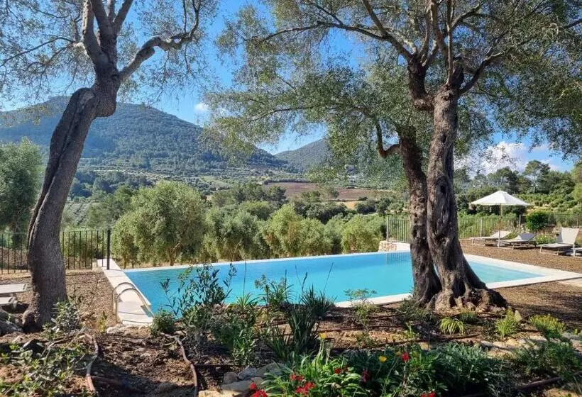 Fincahotel Treurer   Olive Grove & Grand House   Adults Only