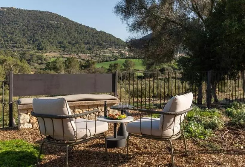 Fincahotel Treurer   Olive Grove & Grand House   Adults Only