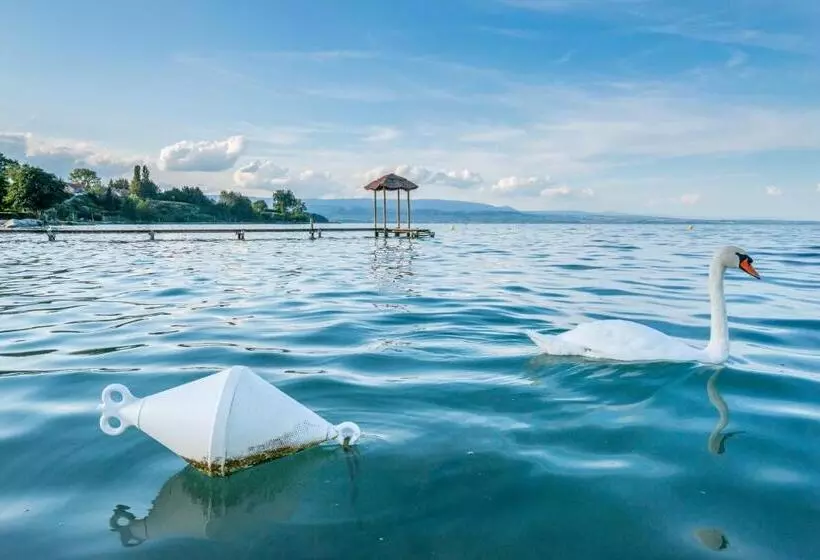 Hotelli Hôtel De La Plage