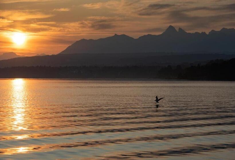 호텔 Hôtel De La Plage