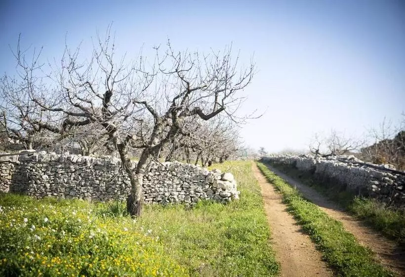 ペンション B&b Masseria Serri
