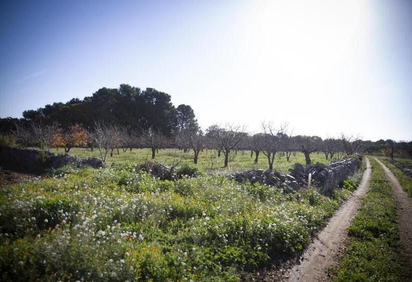 פנסיון B&b Masseria Serri
