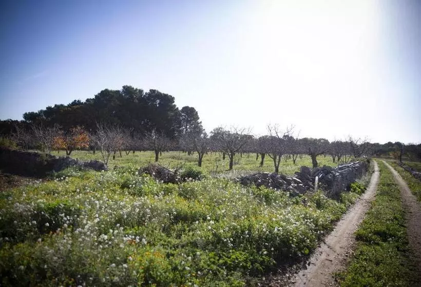 ペンション B&b Masseria Serri