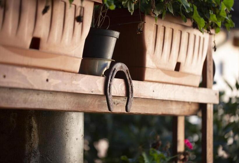 פנסיון B&b Masseria Serri