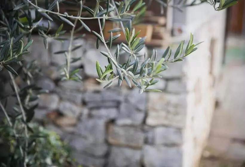 ペンション B&b Masseria Serri