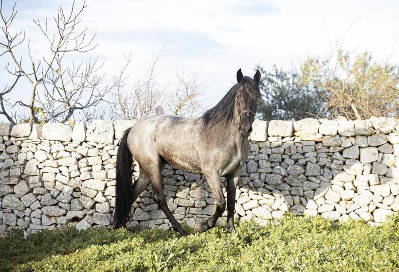 פנסיון B&b Masseria Serri