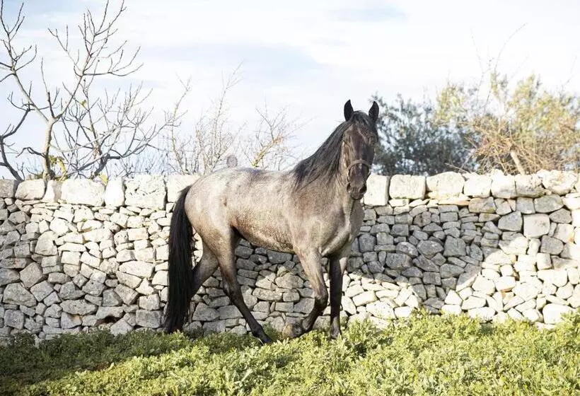 ペンション B&b Masseria Serri