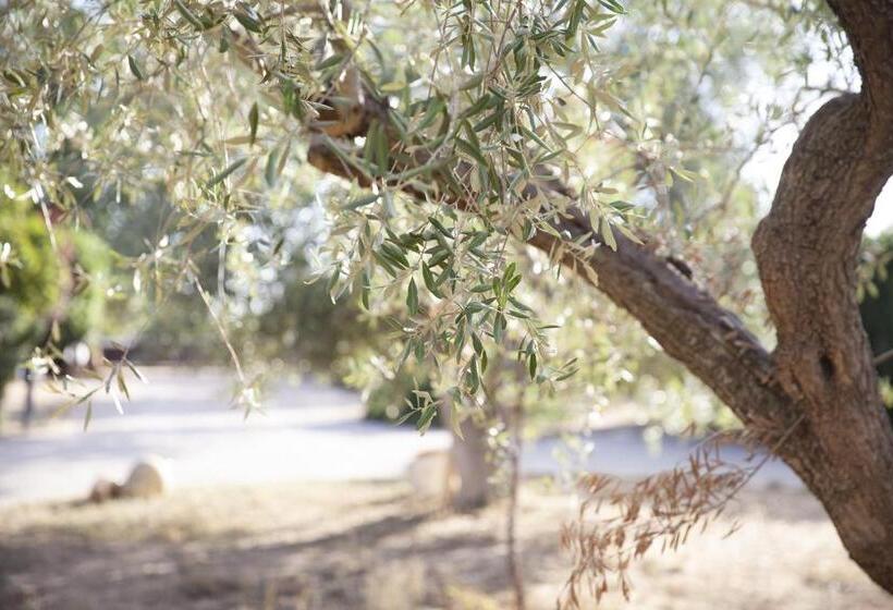 פנסיון B&b Masseria Serri