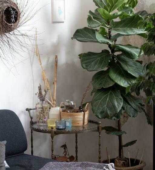 Пансион Cozy Room With Kitchen Use In The Heart Of Cagliari Villanova