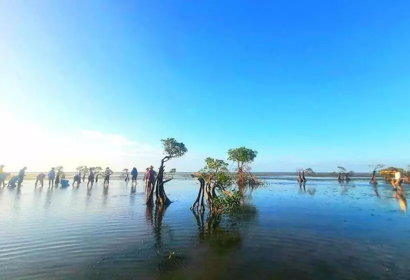 Majatalo Hars Garden Sumba