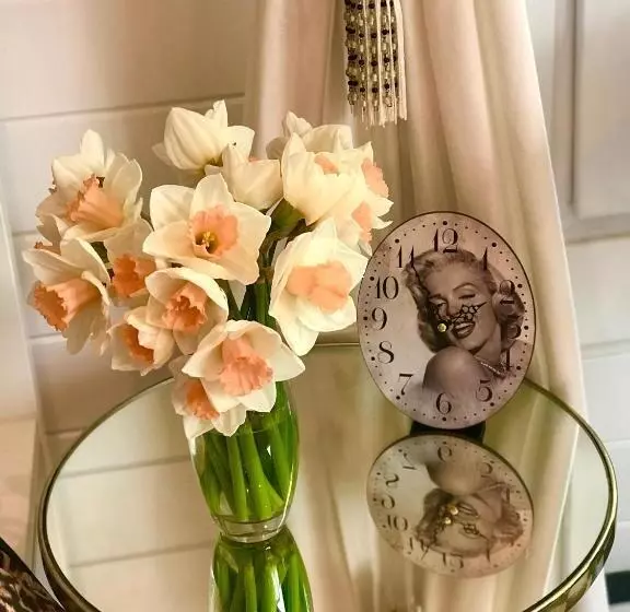 ペンション Ibiza Casa