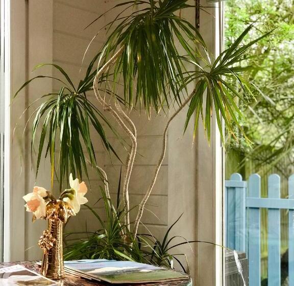 بنسيون Ibiza Casa