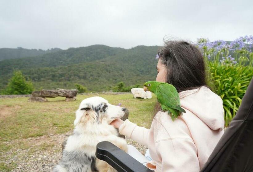 旅馆 Campos Da Bocaina