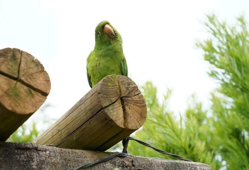 旅馆 Campos Da Bocaina