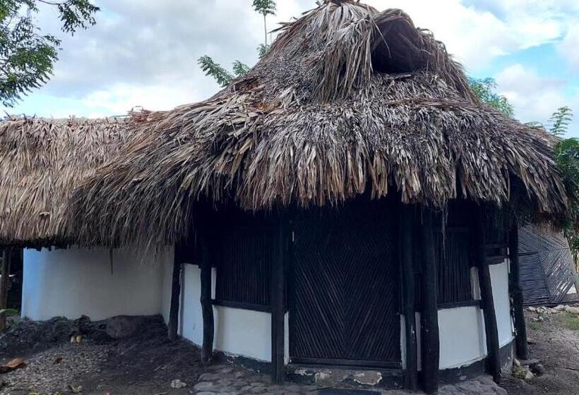 پانسیون Auroa Palomino