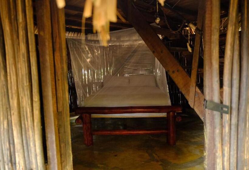 پانسیون Auroa Palomino