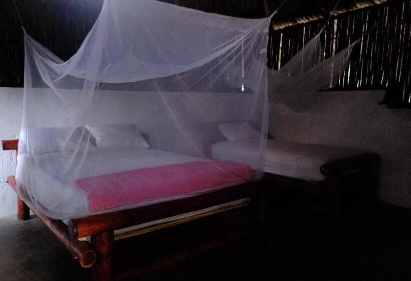 پانسیون Auroa Palomino