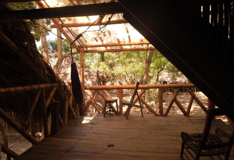 پانسیون Auroa Palomino