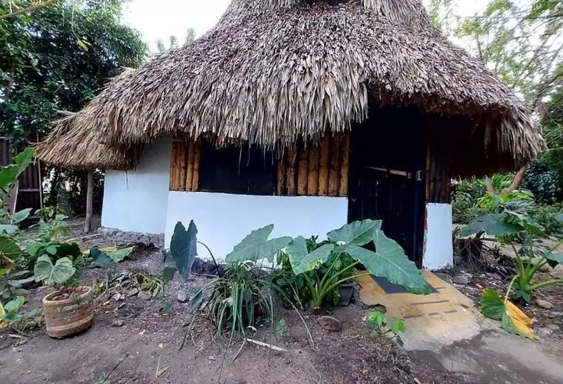 پانسیون Auroa Palomino