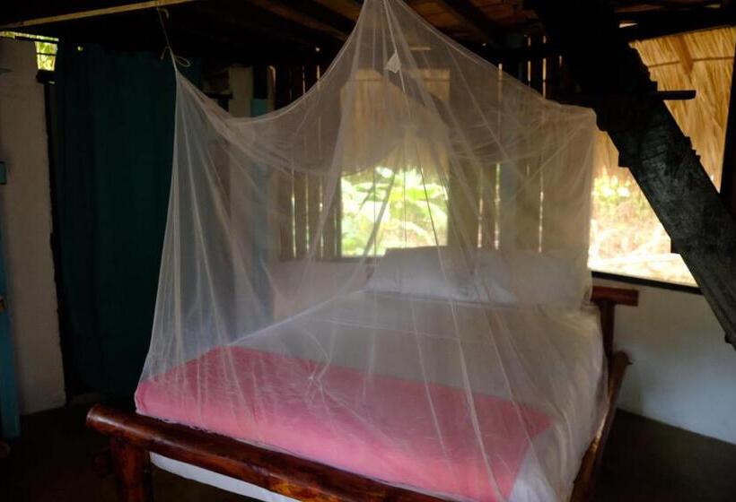 پانسیون Auroa Palomino