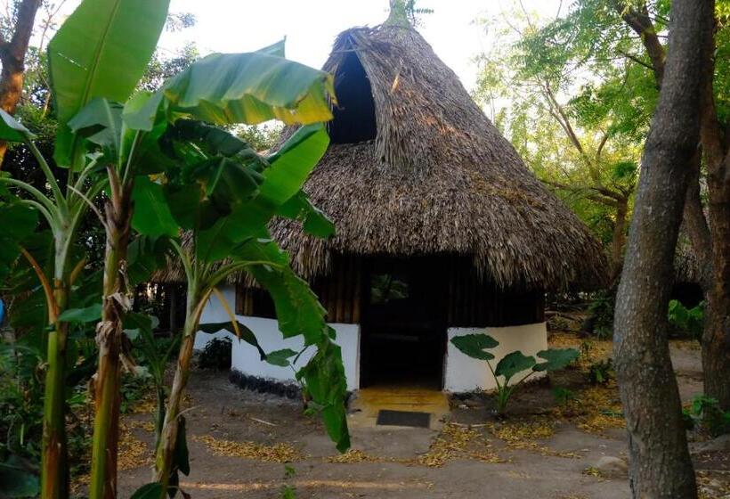 پانسیون Auroa Palomino