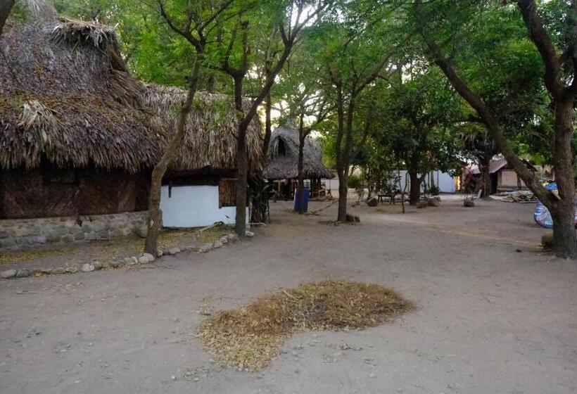 پانسیون Auroa Palomino