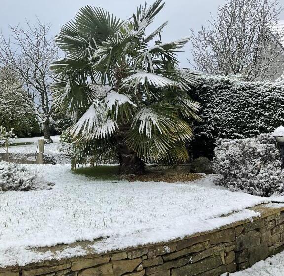 Armidale Cottages B&b