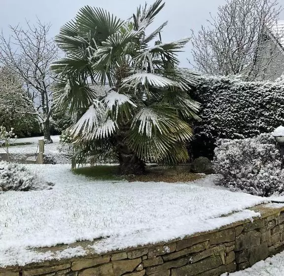 Armidale Cottages B&b