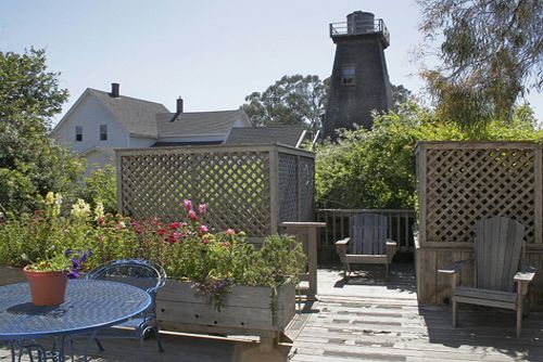 مبيت وإفطار Didjeridoo Dreamtime Inn