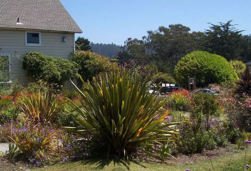 ベッドアンドブレックファースト Didjeridoo Dreamtime Inn