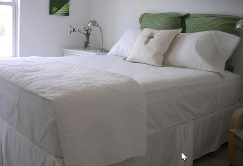 هتل Cruz Bay Boutique