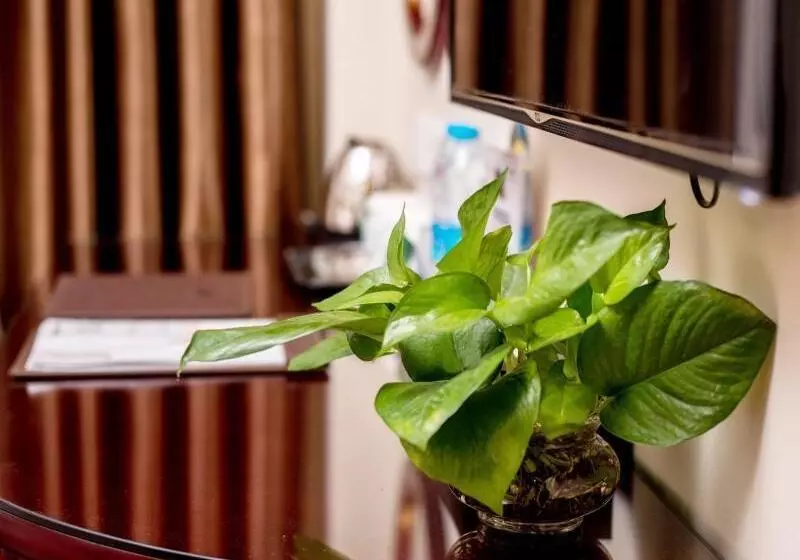 Hotelli Greentree Inn Guangdong Airport Huaxi Road Express