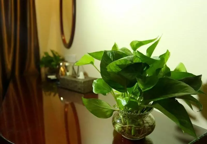 Hotelli Greentree Inn Guangdong Airport Huaxi Road Express