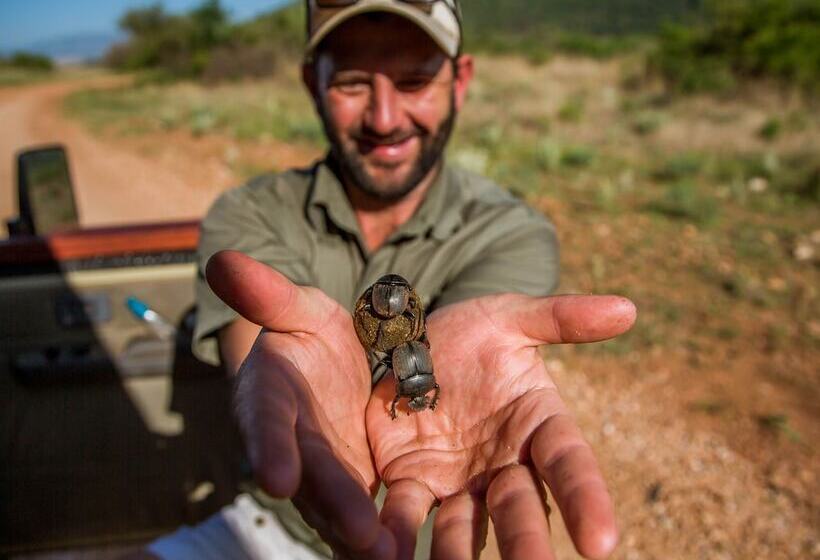 בית מלון כפרי Nkomazi Game Reserve By Newmark