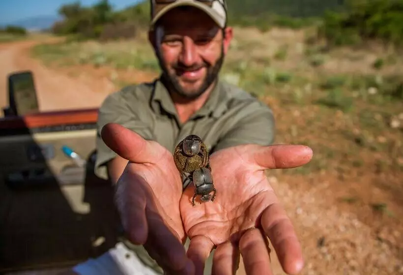 Hôtel Nkomazi Game Reserve By Newmark