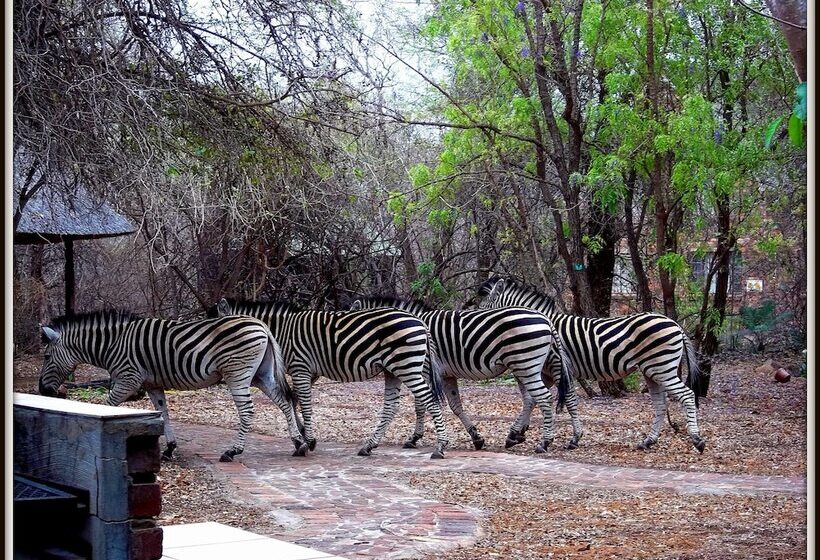 Hotel Phumula Kruger Lodge