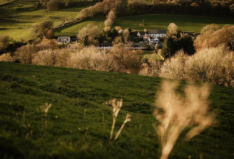 酒店 Brace Of Pheasants