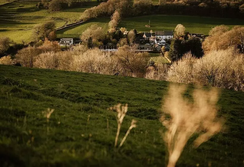 酒店 Brace Of Pheasants