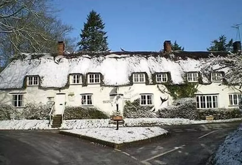 酒店 Brace Of Pheasants