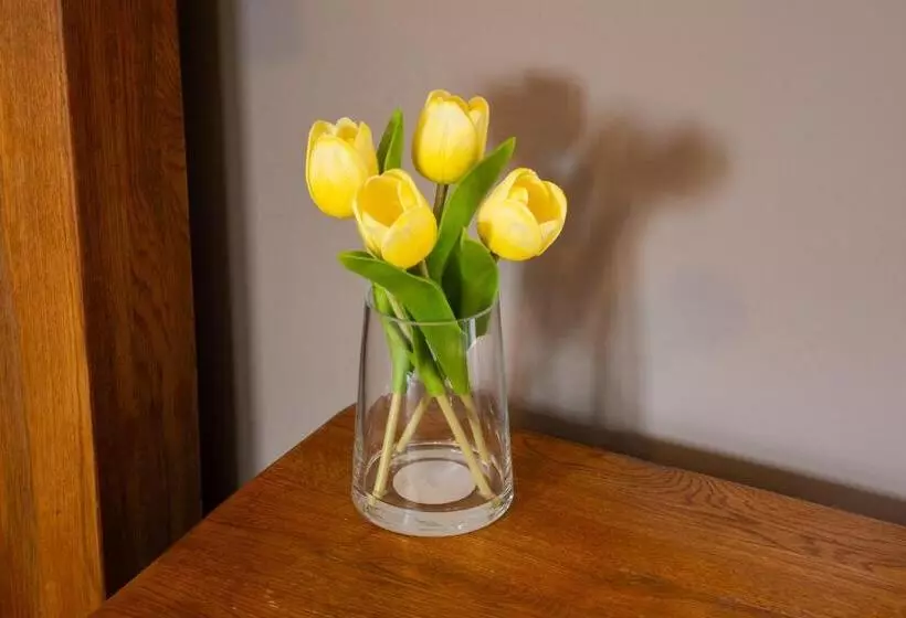 فندق The Gate Hangs High