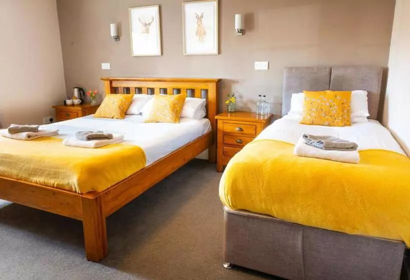 فندق The Gate Hangs High