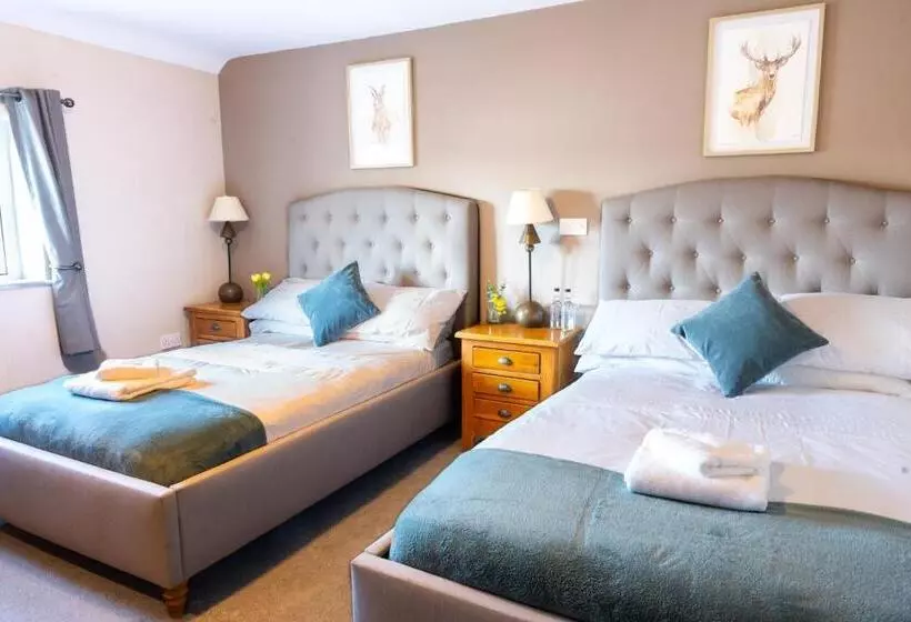 فندق The Gate Hangs High