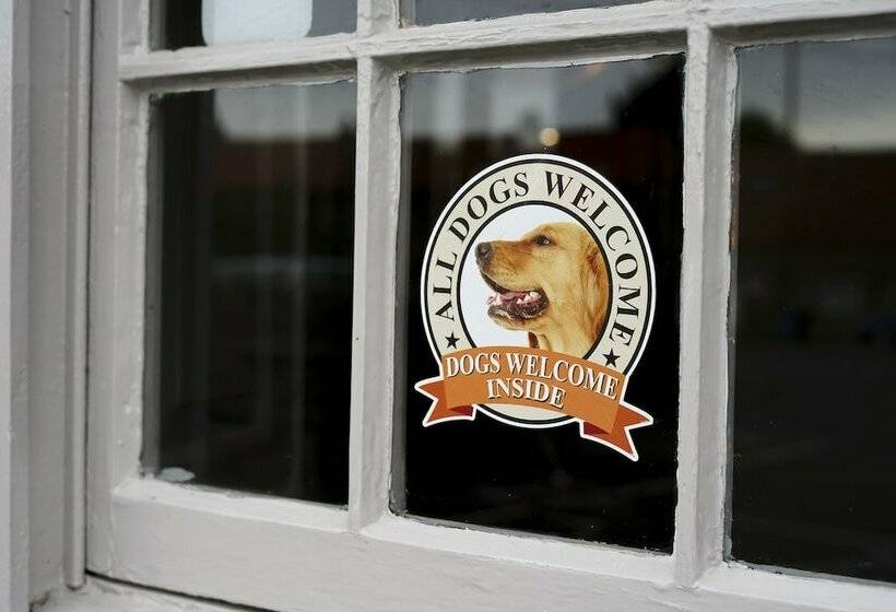 فندق The Plough   Room Only