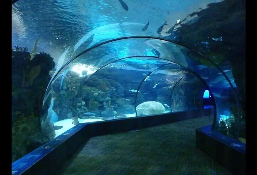 Отель Victorian Inn