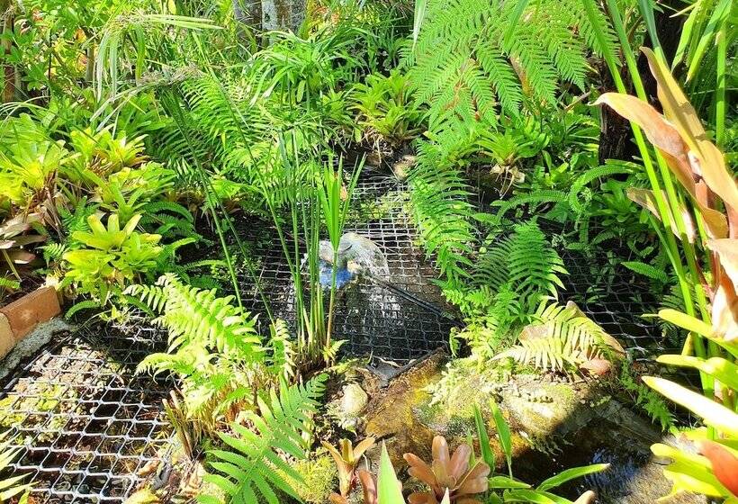 Noosa Village River Resort