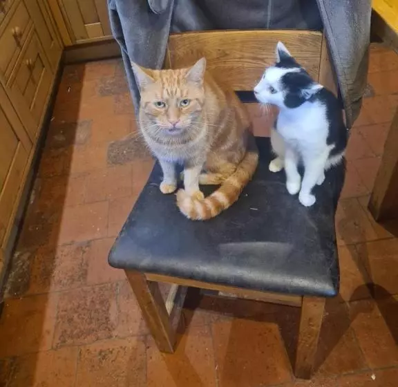 Pensjonat Church Farm Accommodation