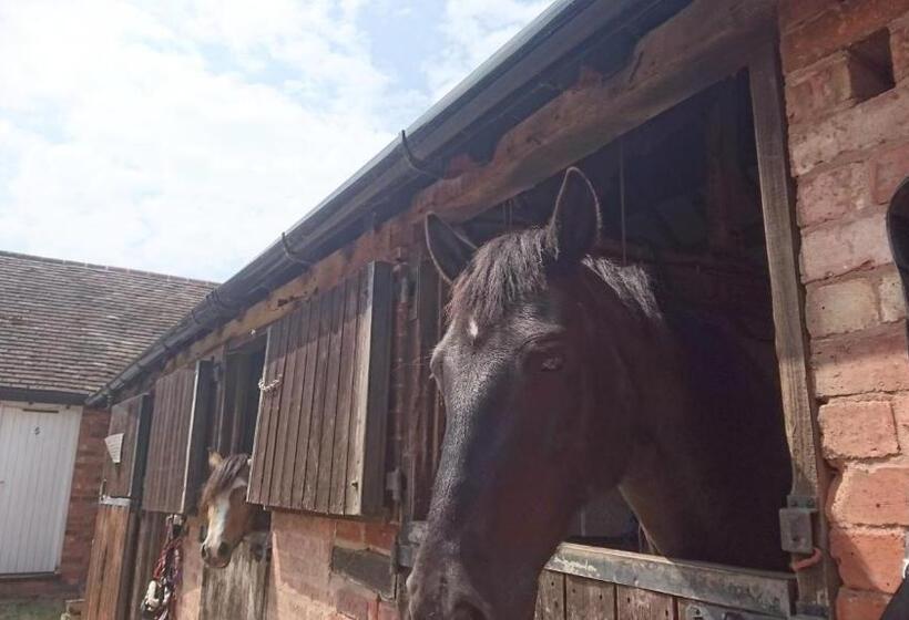 بنسيون Church Farm Accommodation