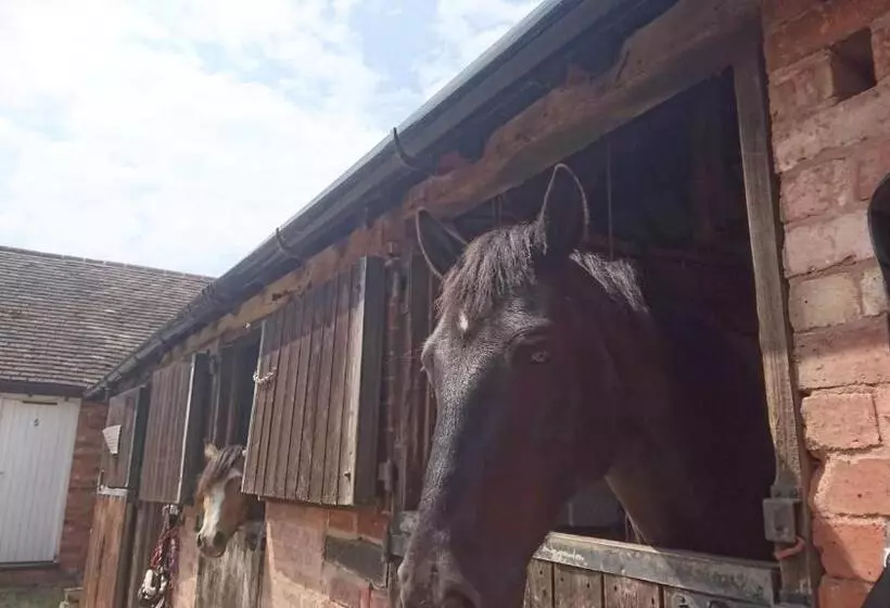 Pensjonat Church Farm Accommodation