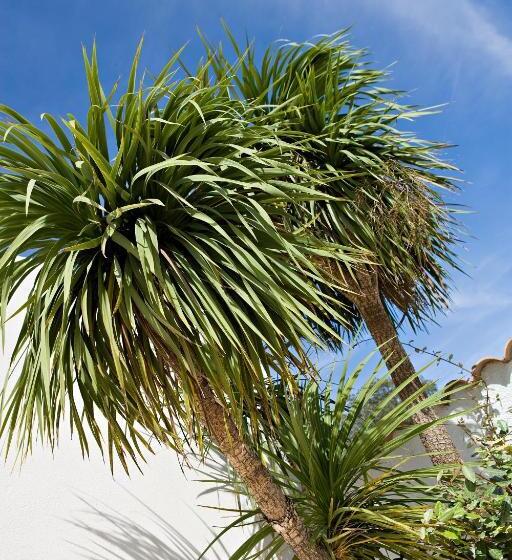 Vacanceole  Residence Carre Marine